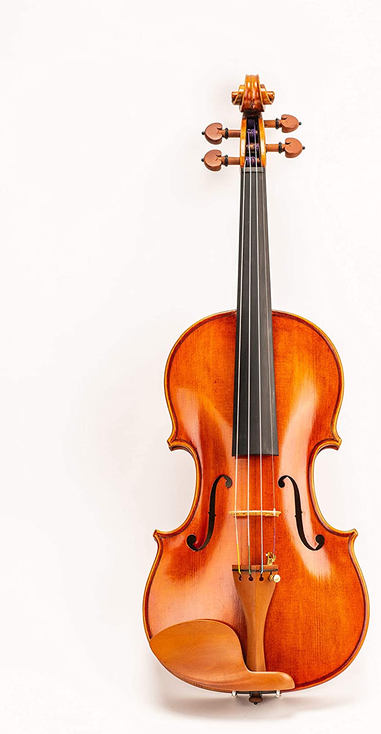 ویولن D Z Strad Model 220 Violin - ارسال 15 الی 20 روز کاری