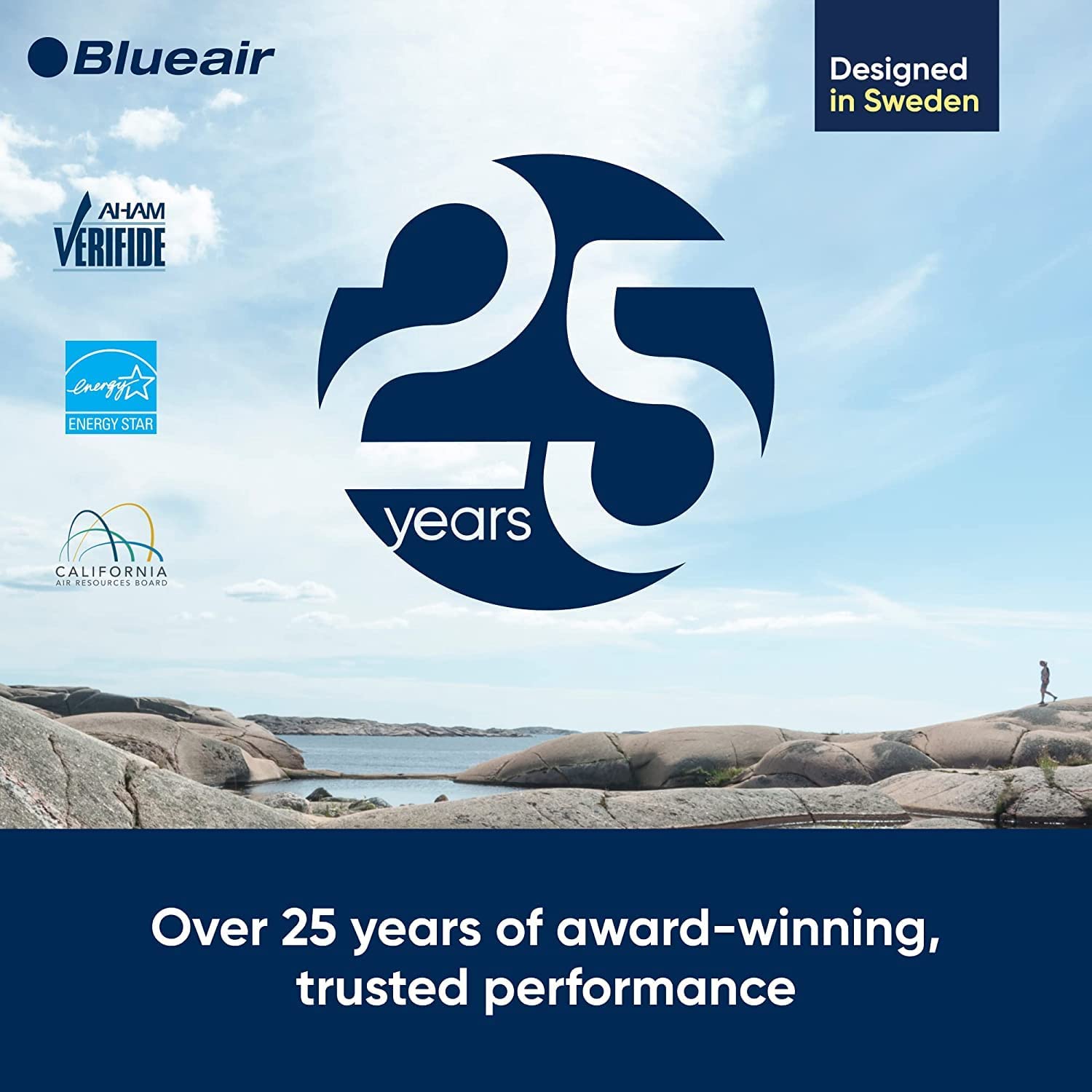 دستگاه تصفیه هوا Blueair Air Purifier - DustMagnet DM-5440i Cleans  - ارسال 10 الی 15 روز کاری